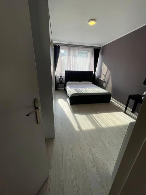 Lucomi's Apartment